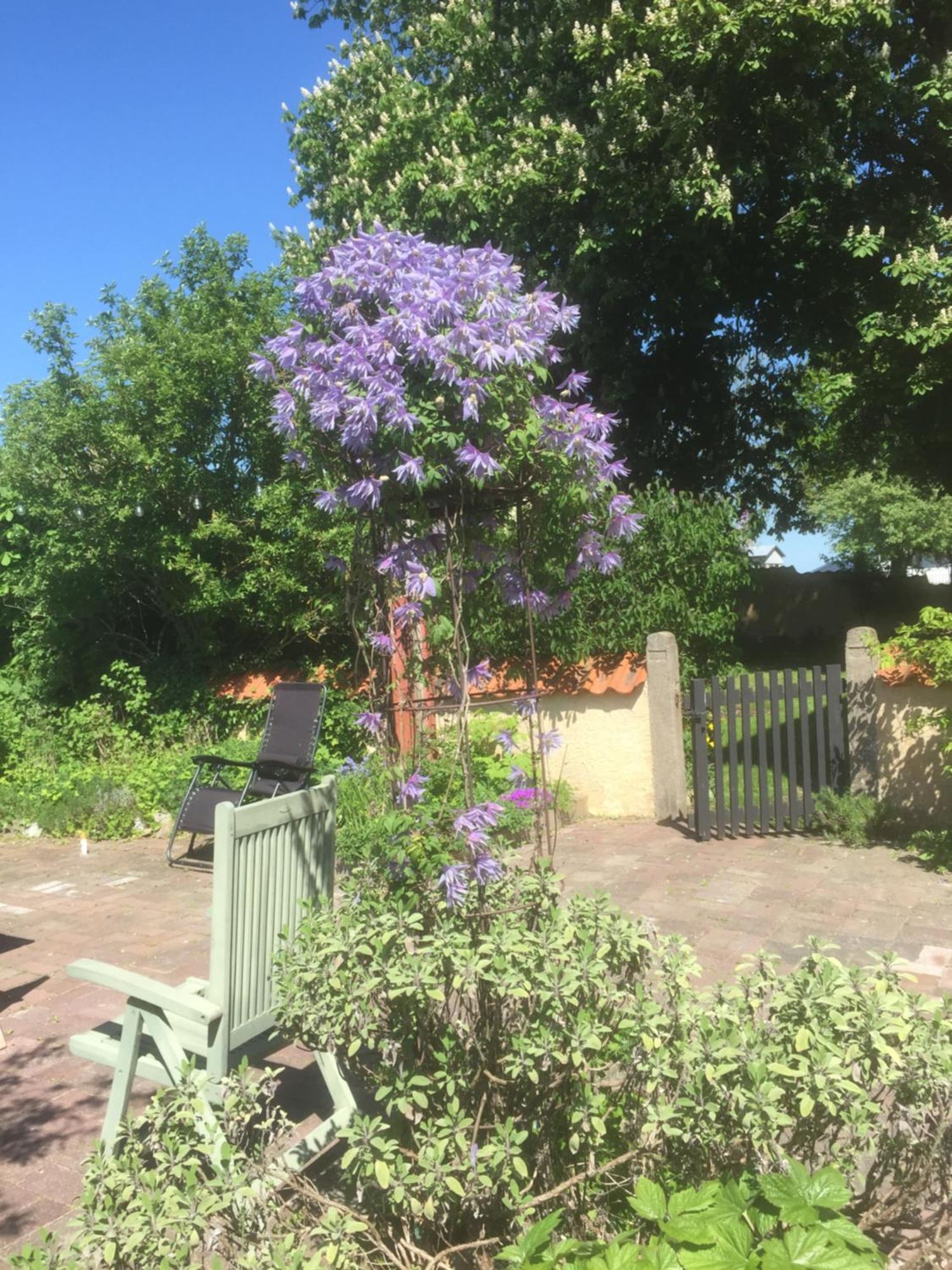 Koepmansgarden Bed & Breakfast 韦灵厄 客房 照片